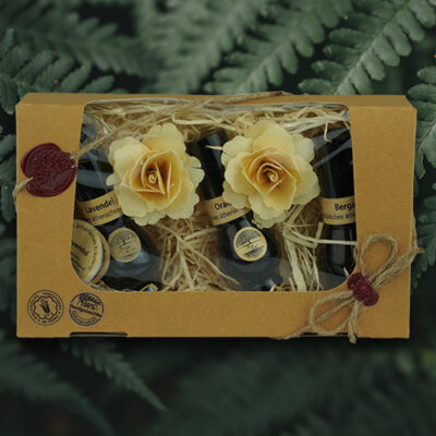 100% Ätherische Öle Set Eukalyptus für Aromalampe/Sauna