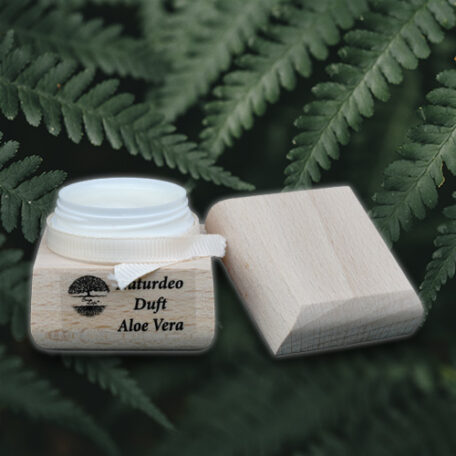 Naturdeo_Holz_Aloevera3_500x500px_220622
