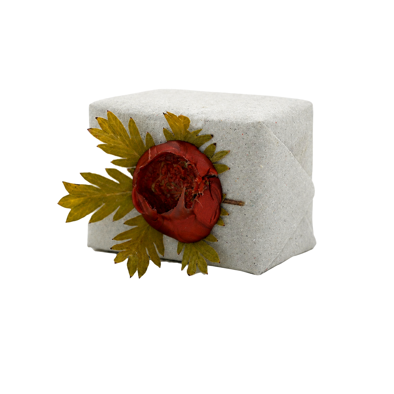 SimLife Naturseife 25 g